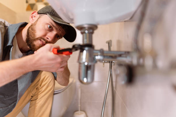 Best Septic System Installation and Maintenance  in Westville, IN